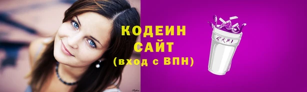 дмт Новодвинск