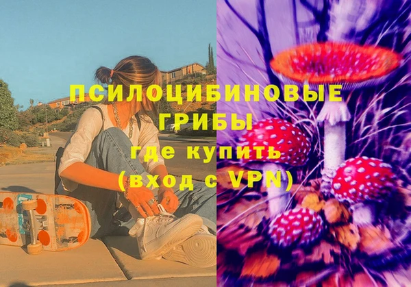 сатива Нея